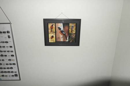 SAM_3235.jpg - 36,235Bytes