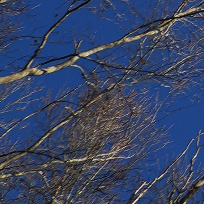 P1172195_LL.jpg - 130,525Bytes