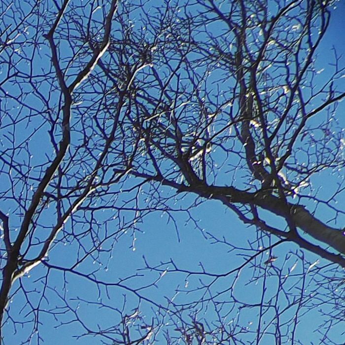 P1172195_RU.jpg - 175,329Bytes