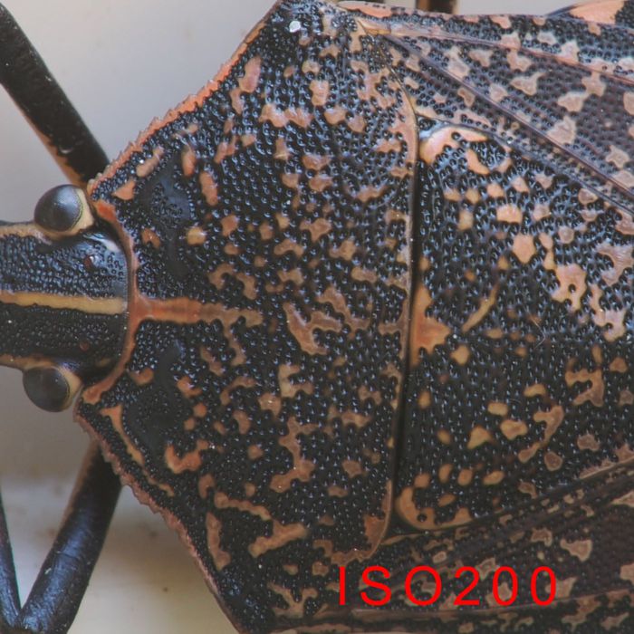 P2030454_2.jpg - 133,176Bytes
