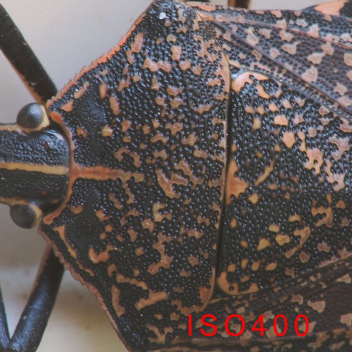 P2030457_2.jpg - 126,745Bytes