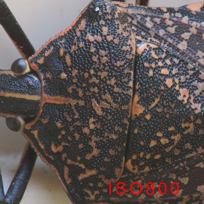 P2030460_2.jpg - 129,270Bytes