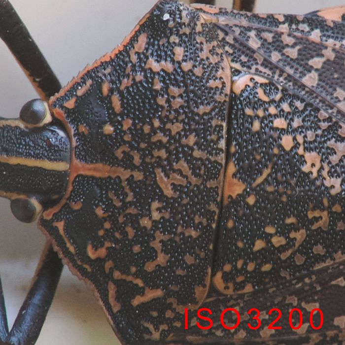 P2030465_2.jpg - 129,203Bytes
