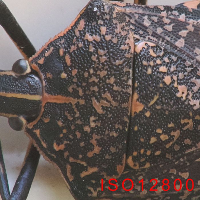 P2030469_2.jpg - 127,035Bytes