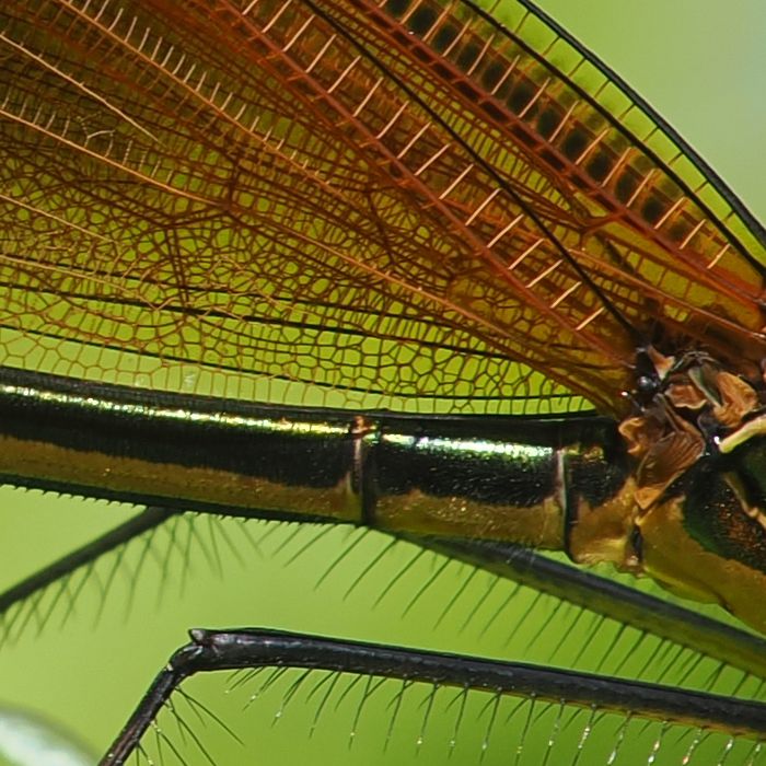 P5243276_t.jpg - 133,251Bytes