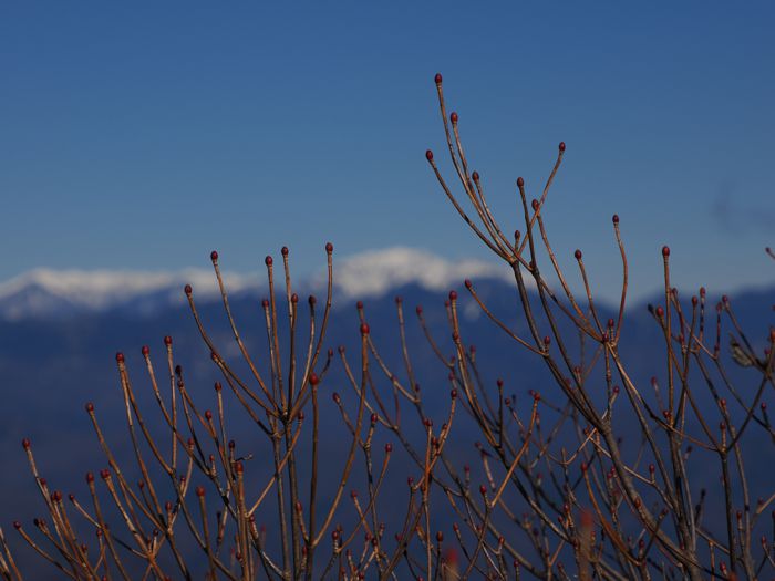 PC120272.jpg - 73,227Bytes