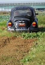 VW_3120.JPG - 57,143BYTES