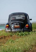 VW_3121.JPG - 54,147BYTES