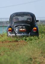 VW_3123.JPG - 53,370BYTES