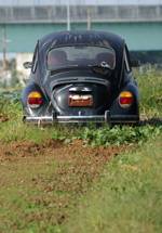VW_3126.JPG - 55,376BYTES