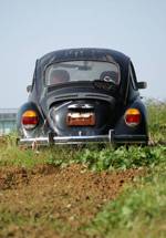 VW_3130.JPG - 54,712BYTES