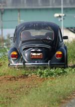 VW_3133.JPG - 55,233BYTES