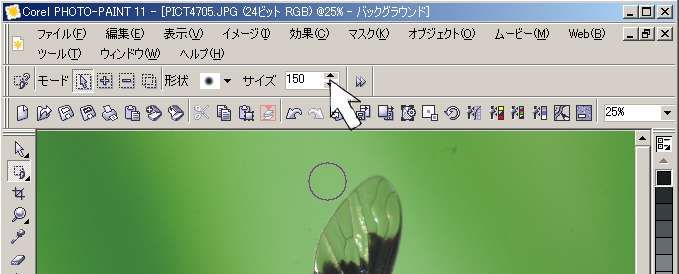 RETOUCH_D2_4705.JPG - 29,454BYTES