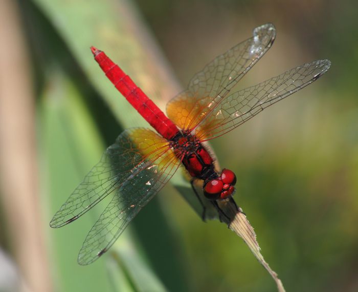 20220625_02.jpg - 39,257Bytes