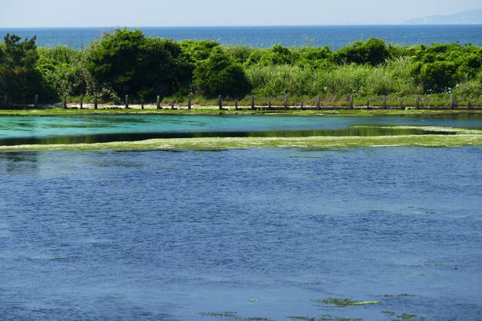 P1390533.jpg - 116,677Bytes