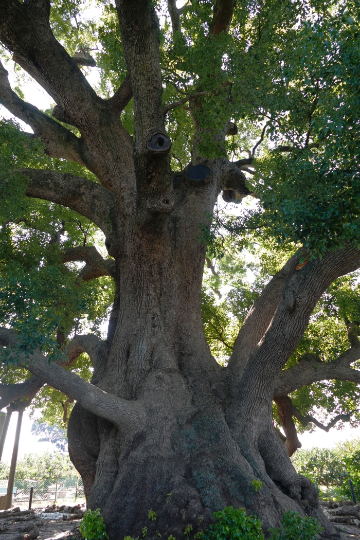 P1400269.jpg - 907,224Bytes