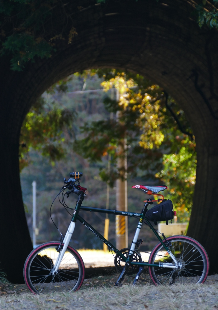 P1400750.jpg - 500,664Bytes