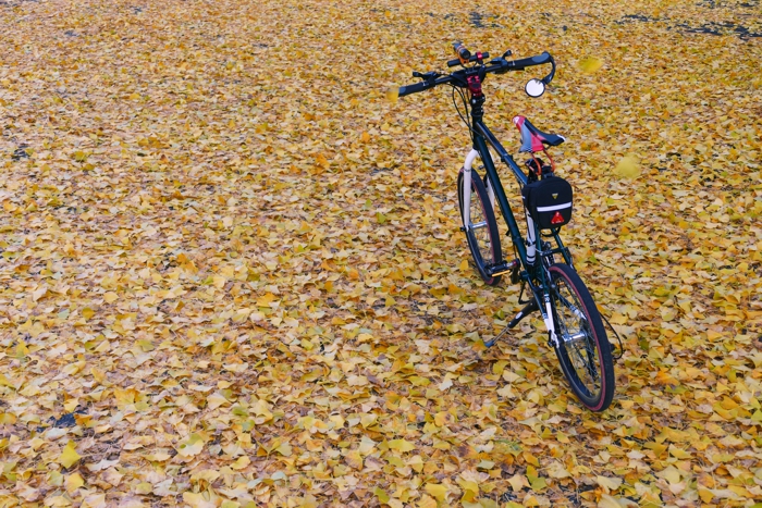 P1400802.jpg - 513,267Bytes