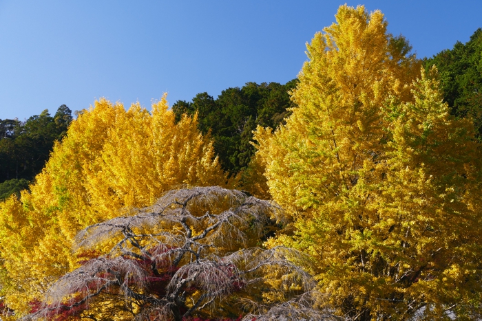 P1400805.jpg - 427,491Bytes