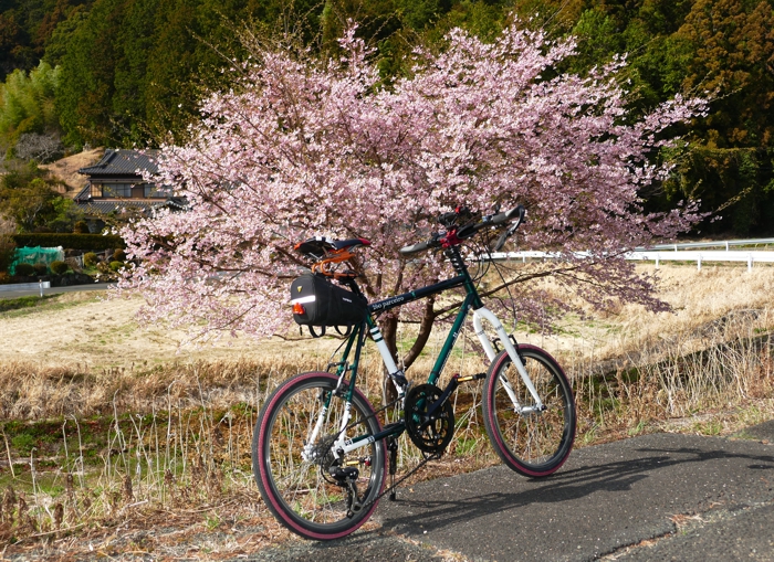 P1430195.jpg - 543,431Bytes