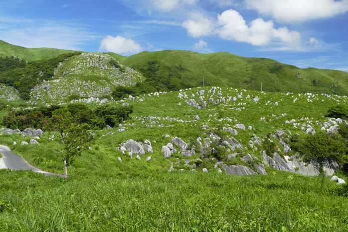 P1460488.jpg - 390,333Bytes