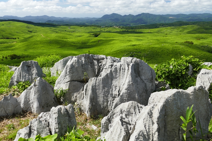 P1460886.jpg - 390,450Bytes