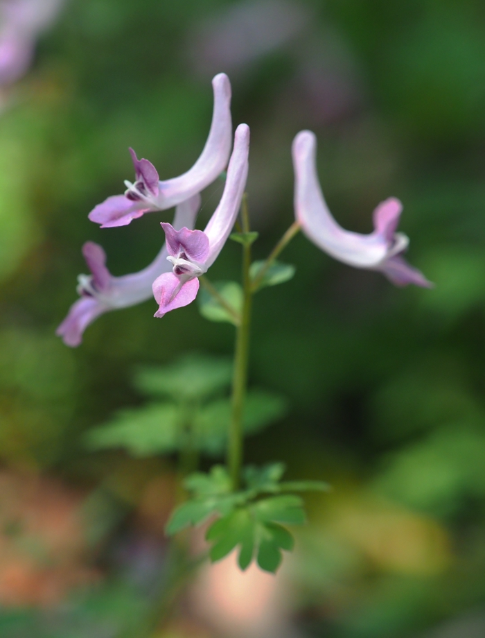 P4082623.jpg - 336,352Bytes