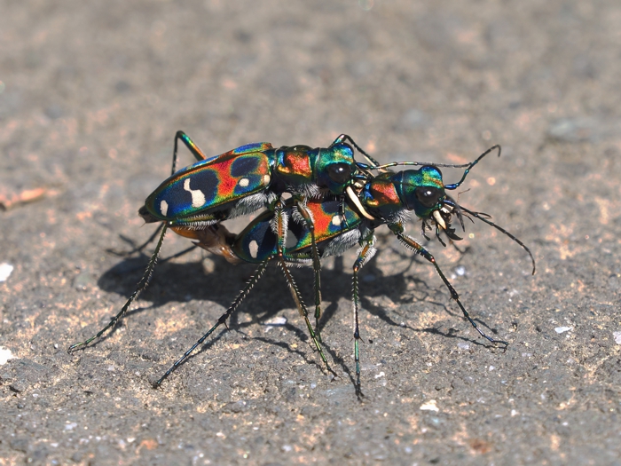 250424_P4272226.jpg - 352,188Bytes