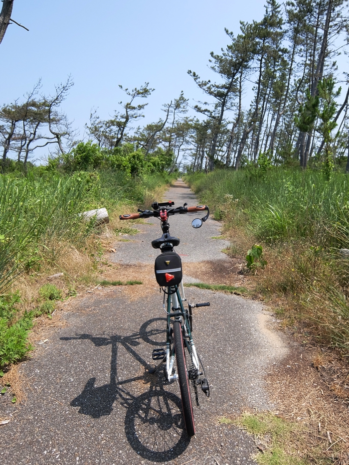 250710_DSCF9052.jpg - 809,623Bytes