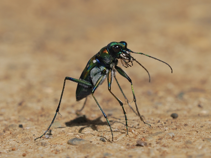 250916_P9168994.jpg - 253,713Bytes