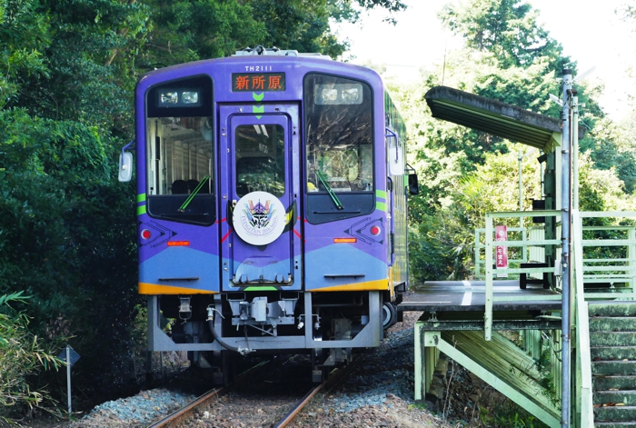 250926_P1480764.jpg - 412,908Bytes