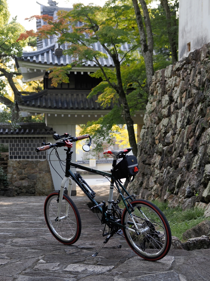 251107_PB074250.jpg - 683,735Bytes