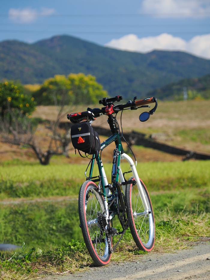 251115_PB154634.jpg - 536,359Bytes