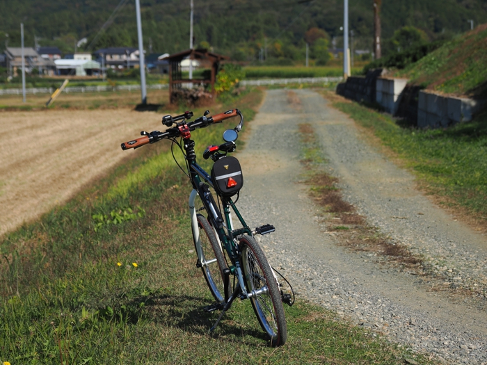 251115_PB154643.jpg - 383,252Bytes