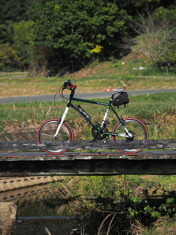 251115_PB154710.jpg - 676,921Bytes