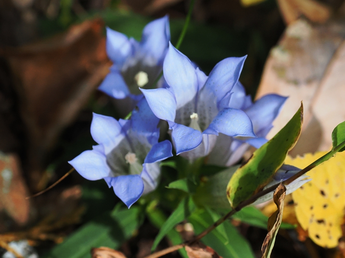 251118_PB184862.jpg - 268,998Bytes