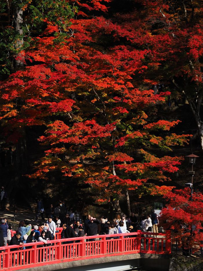 251121_PB214940.jpg - 188,767Bytes