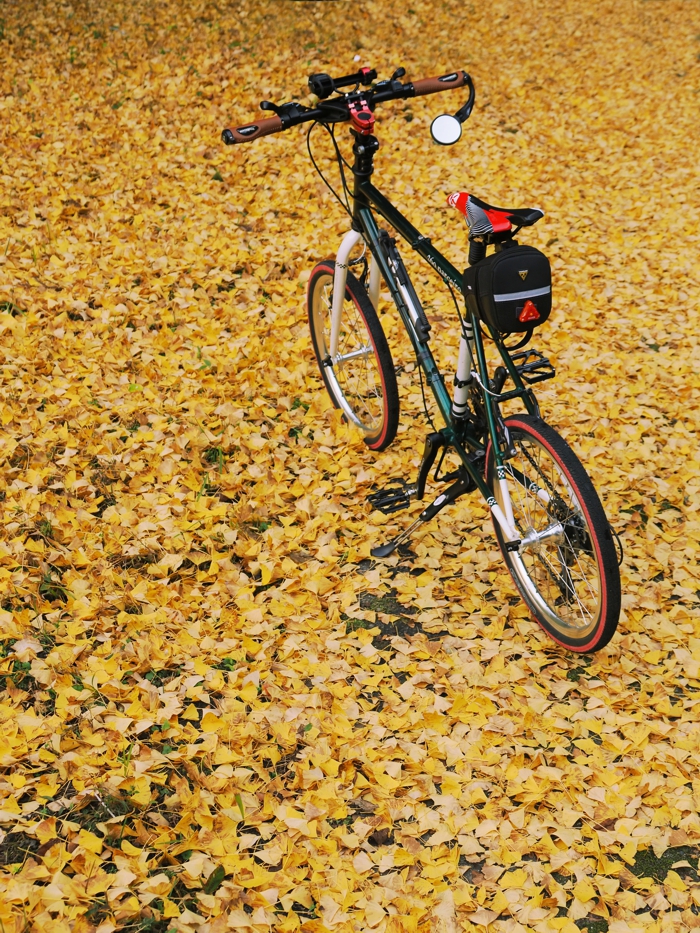 251121_PB214948.jpg - 898,278Bytes