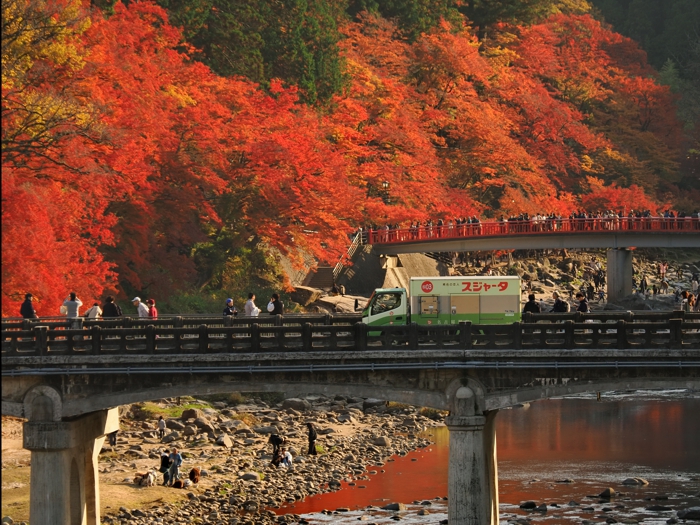 251121_PB215066_3.jpg - 451,513Bytes