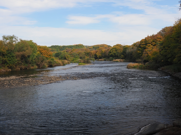 251124_PB245141.jpg - 330,186Bytes