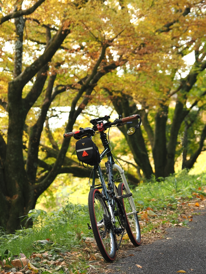 251124_PB245236.jpg - 698,366Bytes