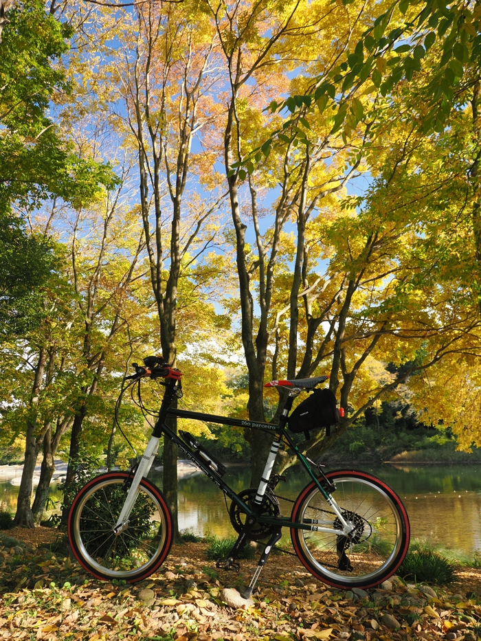 251124_PB245300.jpg - 976,342Bytes