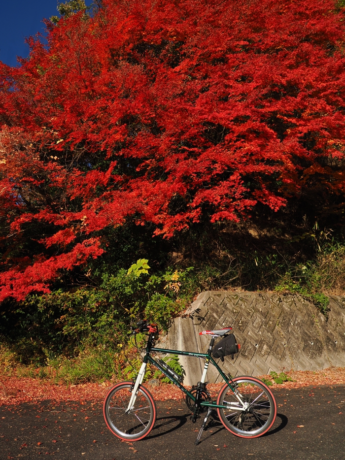 251124_PB245372.jpg - 901,000Bytes