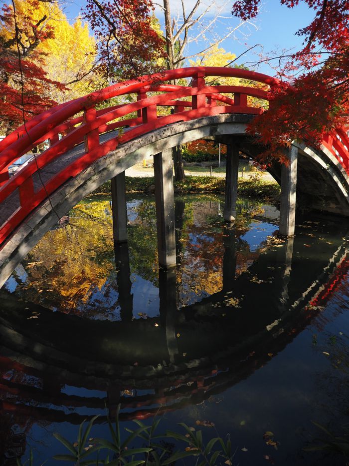 251124_PB2453xx.jpg - 163,449Bytes