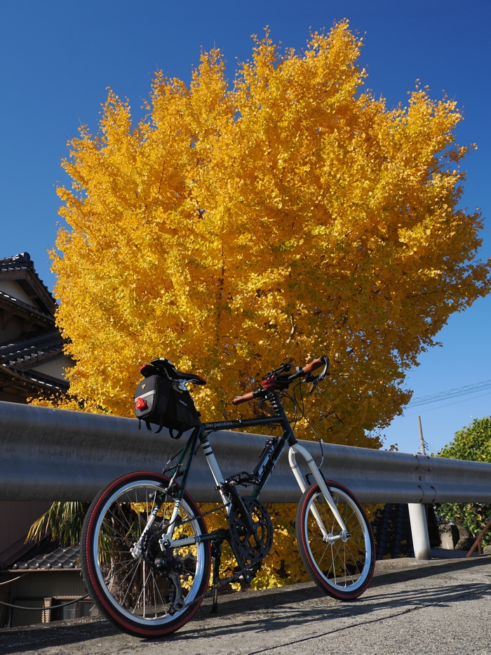 251130_PB305503.jpg - 743,493Bytes