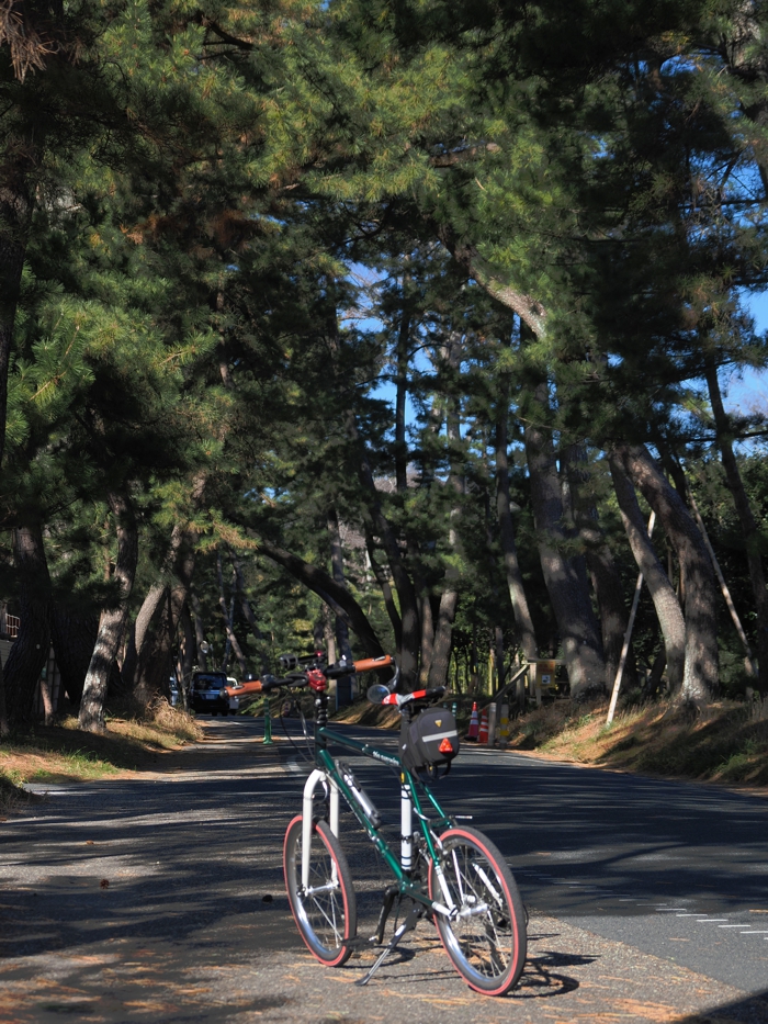 251218_PC186450.jpg - 691,688Bytes