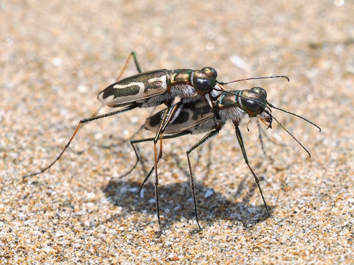 P7105310_2.jpg - 379,348Bytes