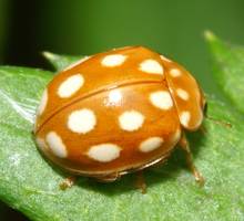 muasirohositentou_7709.jpg - 55,496Bytes