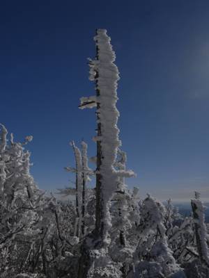 R0013759.jpg - 45,559Bytes