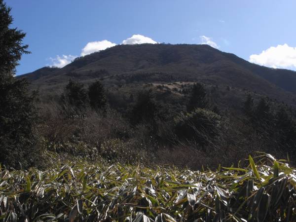 R0019388.jpg - 73,785Bytes